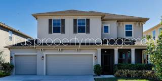 Stunning Double Waterfront 4/3 Home with Dock and Electric Boat Lift Gallery 1