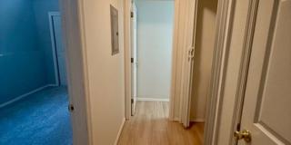 4 Bedroom, 2 Bathroom Duplex - Pet Friendly Gallery 8
