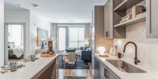 South & Hollis South & Hollis Gallery 30