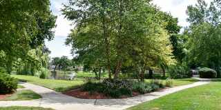 Harbor Lake Gallery 23