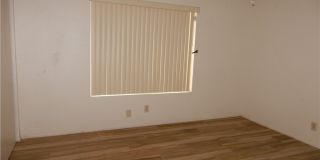 4431 Honeydew Circle Gallery 8
