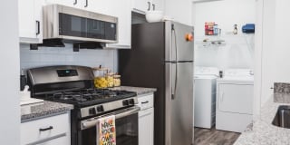 Alister Lake Lynn Gallery 2