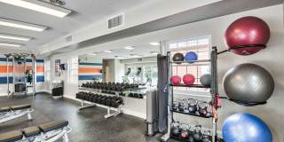 Maple Bay Gallery 11