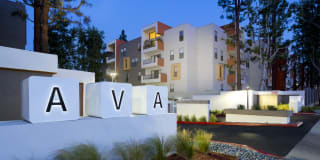 Ava Studio City Gallery 39