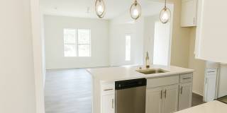 14229 Whistling Teal Drive Gallery 7