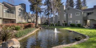 Wood Creek Gallery 4