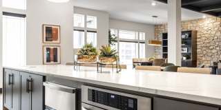 The Steadman Apartments Gallery 77