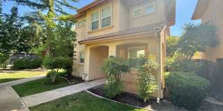 Charming Luxury Home near Downtown & Shopping Gallery 3