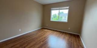 4605 Vireos Vw Gallery 12