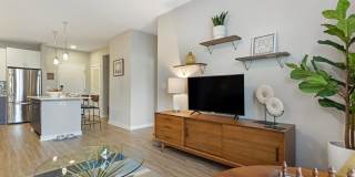 Delamarre at Celebration Gallery 20