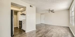 Rise Spring Pointe Gallery 153