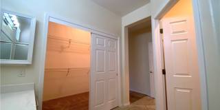 3022 Seaford Peak Drive Gallery 19