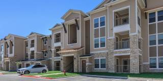 Ryze at Sunfield Gallery 2