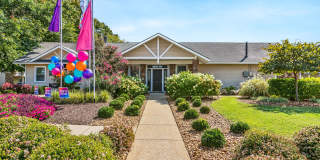 Ashford Place Gallery 65