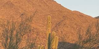 16715 N 108TH Way Gallery 59