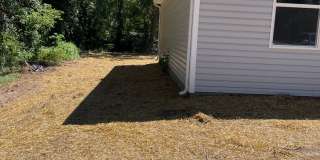 3 bed 2 bath 1 Carport $995/month Gallery 4
