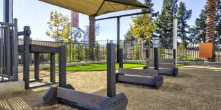 Vineyards Gallery 107