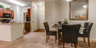 HemisView Village Gallery 7