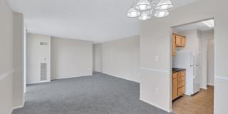 The Phoenix Apartments The Phoenix Apartments Gallery 16