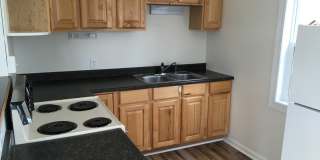 Spacious 1 bed 1 bath in Hamilton Gallery 1