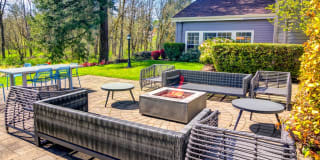 Sofi at Murrayhill Gallery 21