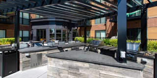 Top of The Mount Gallery 6