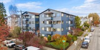 Arie Apartments Arie Apartments Gallery 1