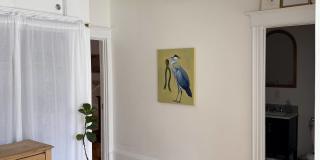 29 Park Vale Ave Gallery 11