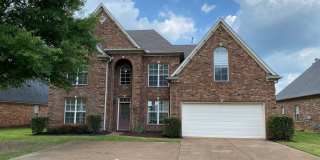 LARGE AND SPACIOUS HOME IN BARTLETT/ARLINGTON Gallery 1