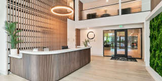 Solis Midtown Gallery 38