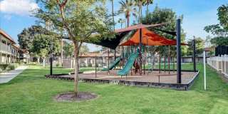 Tierra Palms Gallery 103