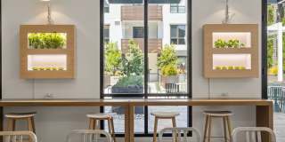 Sevens Luxury Apartment Gallery 96