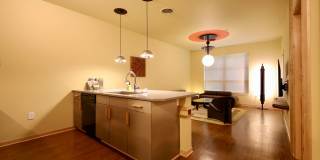 Settlement Place Gallery 198