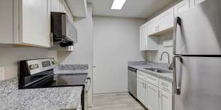 Regatta at Trinity Gallery 7