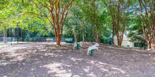 Laurel Springs Gallery 5