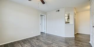 Rise Spring Pointe Gallery 78