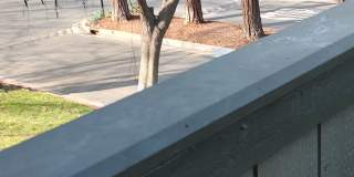 2512 La Terrace Circle Gallery 25