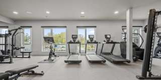 Lore Salem Gallery 20