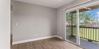 Sea Oats Sea Oats Gallery 95