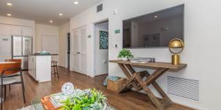 Vineyards Gallery 113