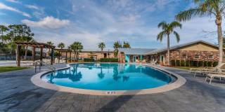 Sea Oats Sea Oats Gallery 41