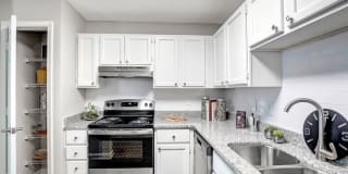 Bellingham Apartment Homes Gallery 2