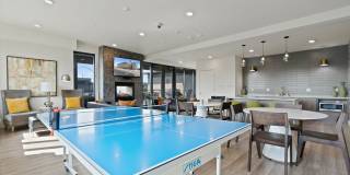 The Fifty at Division Gallery 20