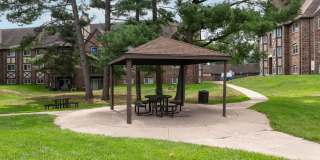 Candlewyck Gallery 43