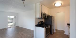 Volterra at La Mesa Gallery 8