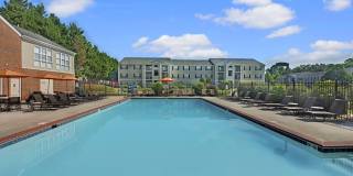 Mallside Forest Gallery 12