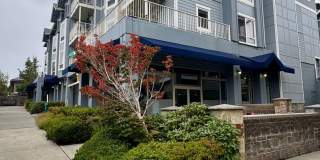 Stunning and stylish Winslow condo now available Gallery 1