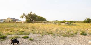 The Bluffs of Williston Gallery 28