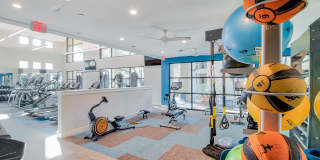 Windsor Ridge Gallery 50