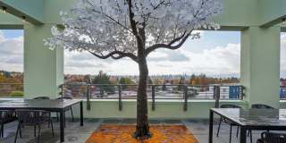 Splash Apartments Gallery 63